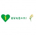 サントリー GREEN DA・KA・RA やさしい麦茶 680ml ペットボトル 24本入り 1ケース カフェインゼロ アレルギー特定原材料等28品目不使用 FDM7K 写真2