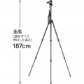 三脚 カーボンマスター 833 写真2