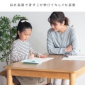 プロポーションチェア CH-N88W ホワイトライトブルー 写真2