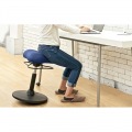 プロポーションスツール 昇降 回転座面 CH-800L  ブルー 宮武製作所 | 背筋 猫背 姿勢 矯正 写真2