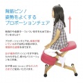 プロポーションチェア キッズ  クッション付 CH-889CK ソーダ 宮武製作所 | チェア 子ども 子供用 椅子 いす 矯正 姿勢 背中 高さ調節 補助 写真2