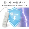 雷ガードタップ 写真2