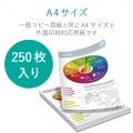 マット紙/ビジネス用/薄手/片面/A4/250枚 写真2