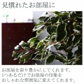 観葉植物 フィカス B 高さ160cm グリーン 【メーカー直送品の為、代引不可・返品不可】 写真2