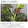 観葉植物 スプリット 高さ140cm グリーン 【メーカー直送品の為、代引不可・返品不可】 写真2