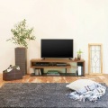 テレビ台 白井産業 ローボード テレビボード 収納 リビング 50V型対応 大型 シック シンプル 幅120cm 高さ約34cm ダークブラウン ヴォルデバ 写真2