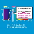 第8/7世代iPad10.2インチ用ブルーライトカット強化ガラスフィルム 写真2