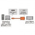 TYPE C-DVI変換ケーブル 3m 写真2