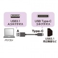 USB3.1 Gen2 Type C-Aケーブル(ブラック・0.5m) 写真2