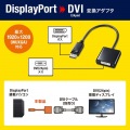 DisplayPort-DVI変換アダプタ 写真2