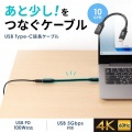 USB5Gbps Type-C延長ケーブル(PD100W・0.1m) 写真2