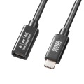 USB5Gbps Type-C延長ケーブル(PD100W・1m) 写真2