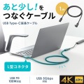 USB5Gbps Type-C延長ケーブル(L型・PD100W・1m) 写真2