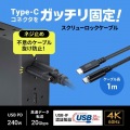 USB20Gbps Type-Cケーブル(シングルスクリューロック・240W・1m) 写真2