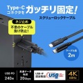 USB20Gbps Type-Cケーブル(シングルスクリューロック・240W・2m) 写真2