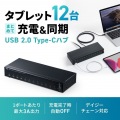 USB2.0 Type-C 12ポートハブ 写真2