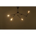 ライト 写真2