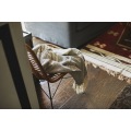 ブランケット 写真2