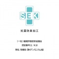 電気しき毛布(シングルLSサイズ)(ベージュ) 写真3