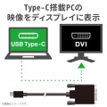 変換ケーブル/Type-C-DVI/2.0m/ブラック 写真3