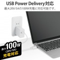 Type-Cケーブル USB-C → USB-C 充電 データ転送用 PD対応 最大100W 5A USB2.0 コンパクトコネクタ 1m ホワイト 写真3