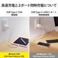USB Type-C 充電器 PD 対応 最大出力20W タイプC×2 【 iPhone iPad Air Galaxy Xperia AQUOS OPPO Android 各種 他対応 】 スイングプラグ 小型 軽量 ホワイト 写真3