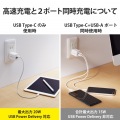 USB Type-C 充電器 PD 対応 最大出力20W タイプC ×1 USB A ×1 【 iPhone iPad Air Galaxy Xperia AQUOS OPPO Android 各種 他 】 スイングプラグ ホワイト 写真3
