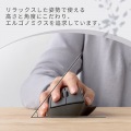 無線抗菌静音マウス“SHELLPHA”チルト機能付き5ボタン 写真3
