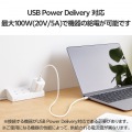 USB2.0ケーブル(C-C、100W対応) 写真3