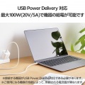 USB2.0ケーブル(C-C、100W対応) 写真3