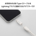 USB変換アダプター(USB Type-Cポート - Lightningプラグ) 写真3