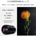 LUMIX S PRO 50mm F1.4 写真3