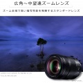 LUMIX S 24-105mm F4 MACRO O.I.S. 写真3