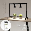 ビザールプランツライトスタンド LPS-800-BK 観葉植物 植物育成ライト 多肉植物 棚 ライト 台 フラワースタンド プランタースタンド 塊根植物 室内 写真3
