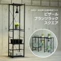 ビザールプランツラック 植物ラック 植物棚 植物育成ライト 植物用サーキュレーター 多肉棚 フラワースタンド プランタースタンド  LPR-350-BK ビビラボ 写真3