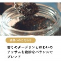紅茶花伝 無糖ストレートティー PET 440ml (24本入) 写真3
