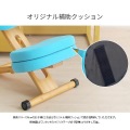 補助クッション CN-8C ブラック 宮武製作所 | 姿勢矯正 猫背 姿勢 写真3