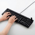 有線フルキーボード/メンブレン式/メカニカルライク/USB(2.0)2ポート/1000万回高耐久/ブラック 写真3
