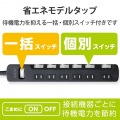 一括&個別スイッチ付 雷ガードタップ 写真3