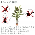 観葉植物 スプリット 高さ140cm グリーン 【メーカー直送品の為、代引不可・返品不可】 写真3