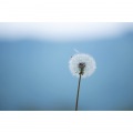 70-300mm F/4.5-6.3 Di III RXD A047 ニコンZ 写真3