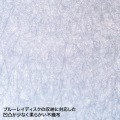 ブルーレイディスク対応ファイルケース(128枚収納・クリア) 写真3