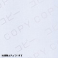 マルチタイプコピー偽造防止用紙(B4) 写真3