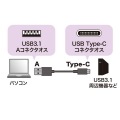 USB3.1Gen2TypeC-Aケーブル 写真3