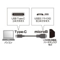USB3.1Gen2TypeC-microBケーブル 写真3
