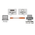 USB2.0TypeC-Bケーブル 写真3