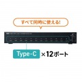USB2.0 Type-C 12ポートハブ 写真3