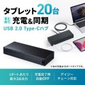 USB2.0 Type-C 20ポートハブ 写真3