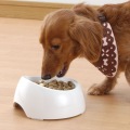 犬用 食べやすい食器 S深型 写真3
