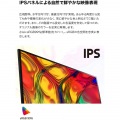 24QP750-B 23.8型 WQHD(2560×1440) IPS 液晶ディスプレイ ブラック 写真3